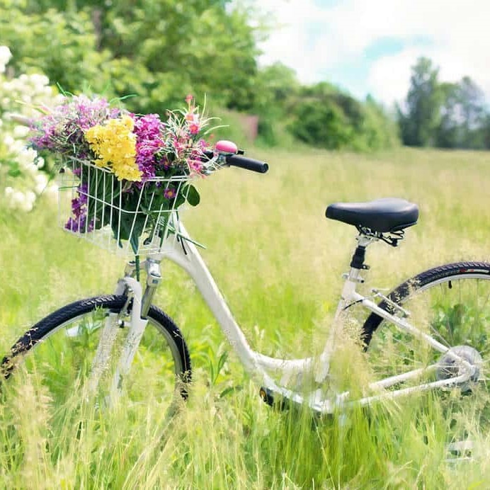 Fietsen in de weerribben-wieden en blokzijl